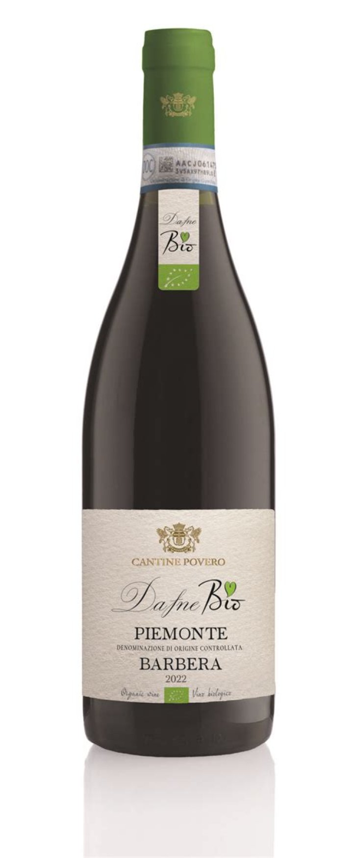 Al Piemonte | Bio, Age, Net Worth, Relationship, Career