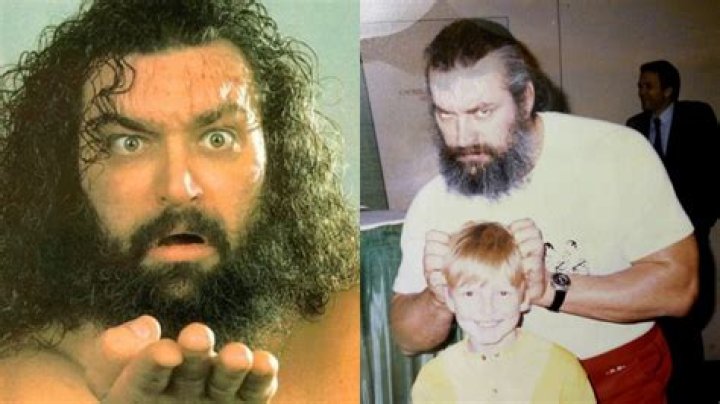 Bruiser Brody