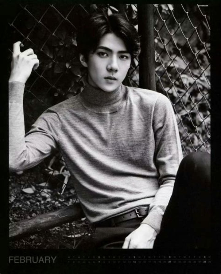 Dzajna “Jaja” Vankova