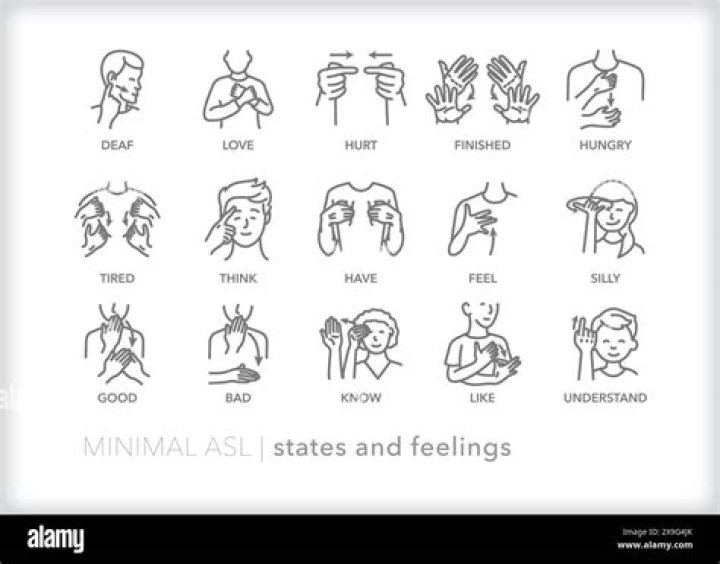 How to say bad words in sign language