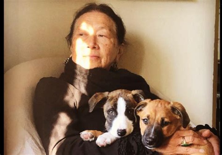 Natane Adcock Wikipedia Bio – Who Is She? Age Husband And Net Worth