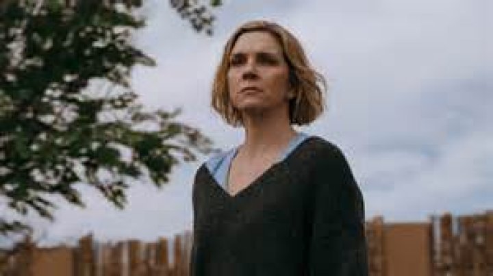 Rhea Seehorn Young, Look Alike, Movies And TV Shows, Breaking Bad, Net Worth