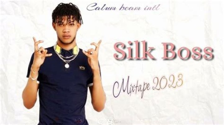 Silk Boss