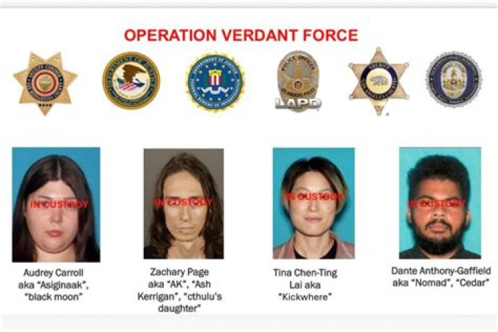 Tina Lai’s net worth, fact, career, awards, biography & life story