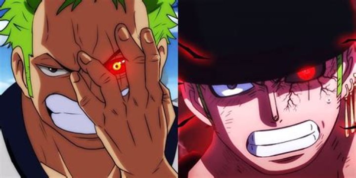 What Happened To Zoro Left Eye | Fight Series Plot Explained
