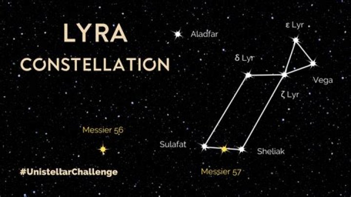 Who Is Kate Lyra? Wikipedia And Age Explored